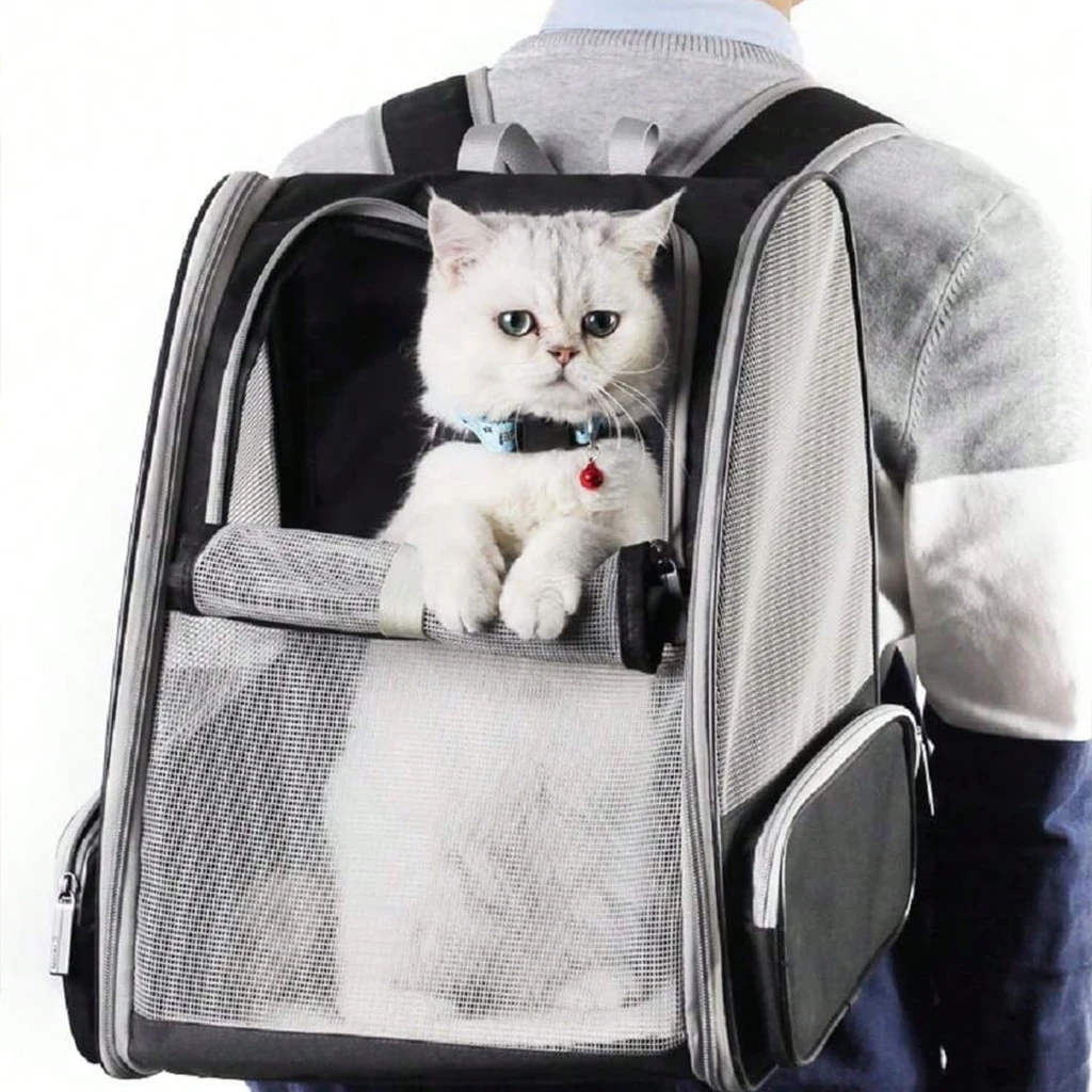 Breathable Mesh Carrier backpack for Cats & Small Dogs - Image 8